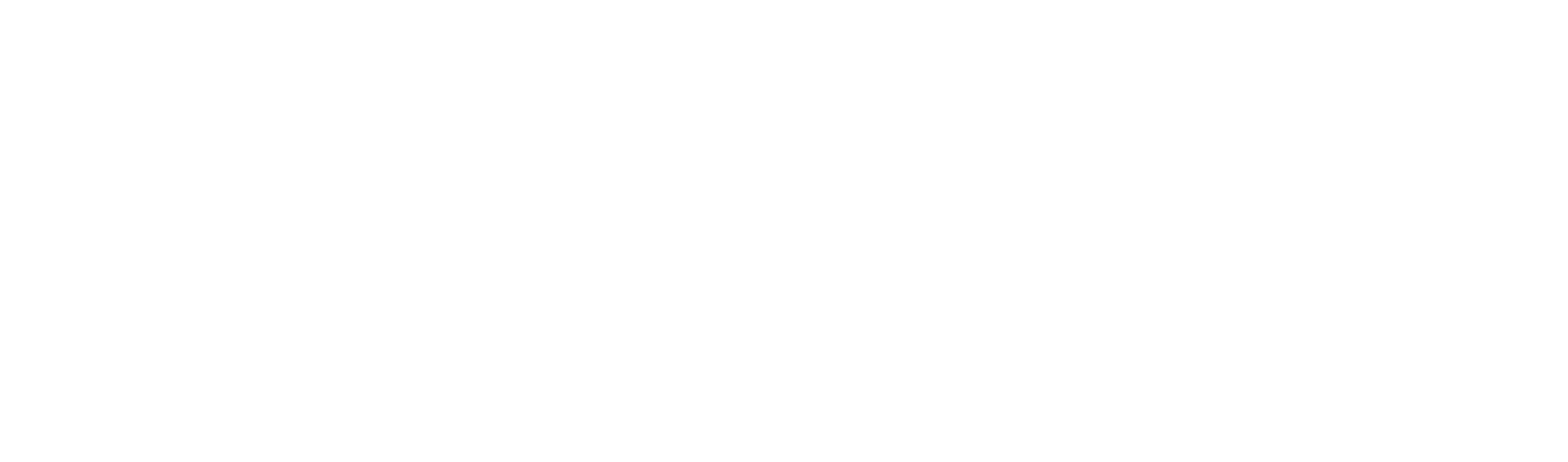 Digitalni seniori